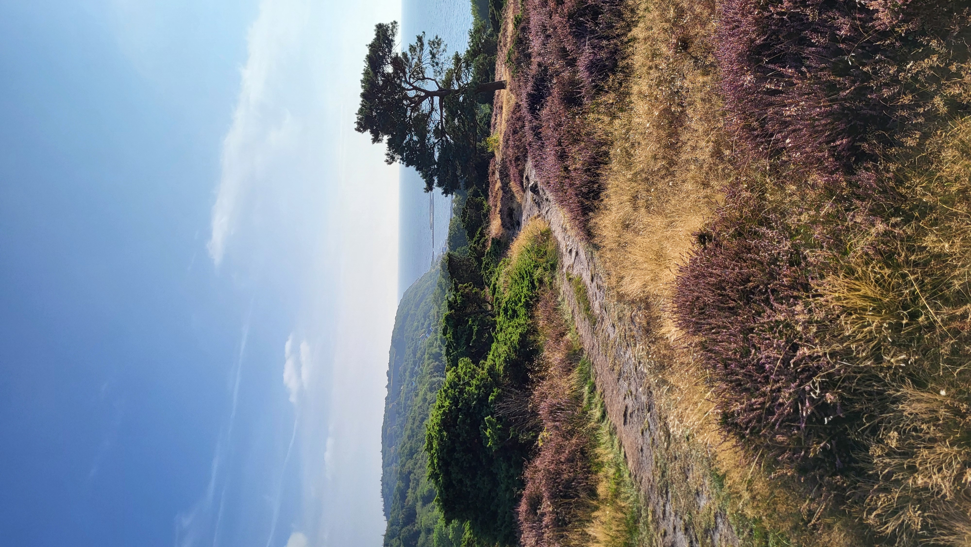 Yogakurs - Yogastil: Hatha Yoga - Eine Reise in die innere Aus-und Aufrichtung auf Bornholm