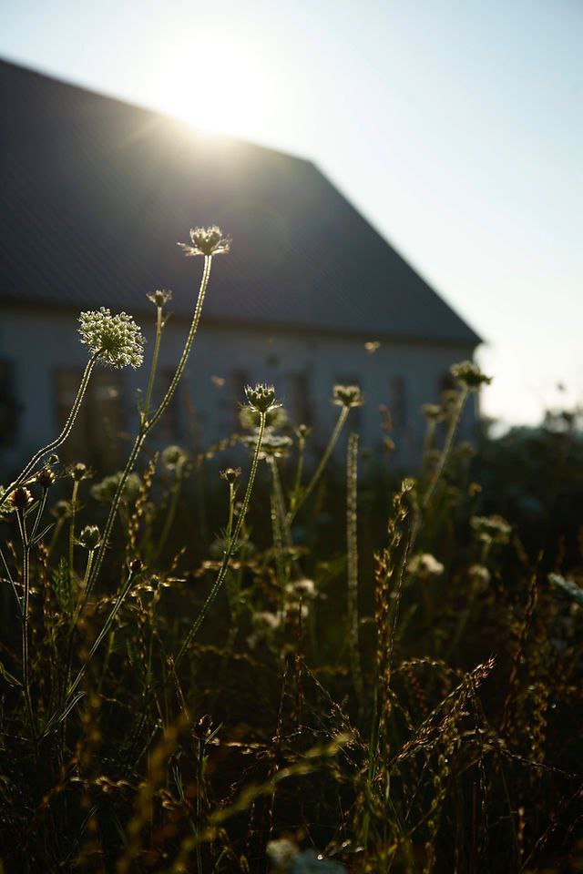 Yogaevent: Eine Reise in die innere Aus-und Aufrichtung auf Bornholm