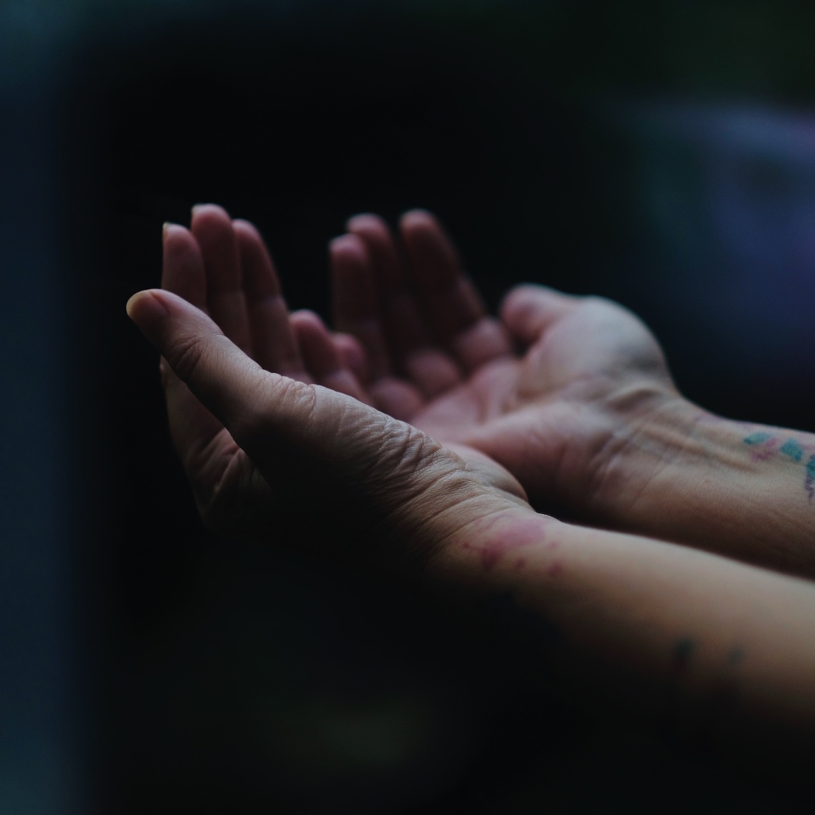 Yoga: AUSGEBUCHT! AYURVEDA AUSBILDUNG vom 14.-16.08.2026