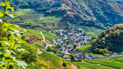 Yogaevent: Naturliebe - Flow & Flavor Yoga Gourmet Retreat