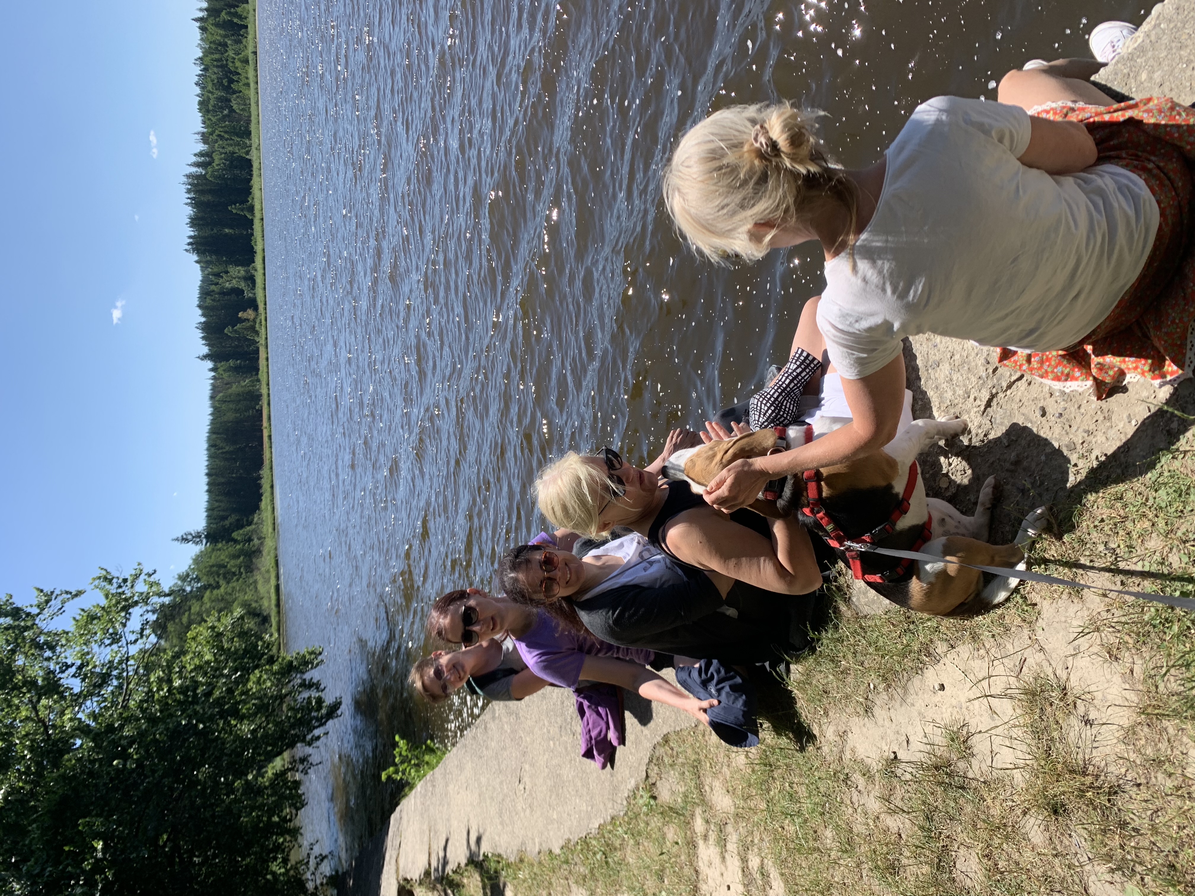Yogalehrer Ausbildung: Kleine Gruppen (Max. 8 TN)
Entweder du meldest dich und deine Gruppe an oder du buchst ein Einzelretreat.
Du hast auch die Möglichkeit, dich alleine zu einem Termin anzumelden und das Retreat für weitere Gäste freizugeben.
 - Yoga und Osteopathie Akademie