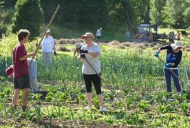 Yogaevent: Work & Study im Kloster Gerode, Klostergarten -  Work & Study im Kloster Gerode - Aktiv, meditativ, freudig 