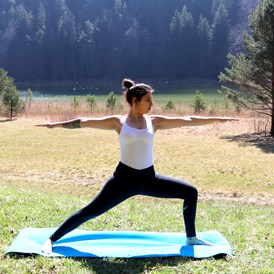 Yoga: Virabhadrasana 2 - Yoga Kadesha - Yoga Kadesha
