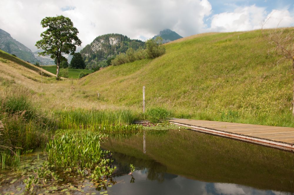 Yogakurs - Yoga Elemente: Pranayama - Aussenansicht - April Retreat im Toggenburg