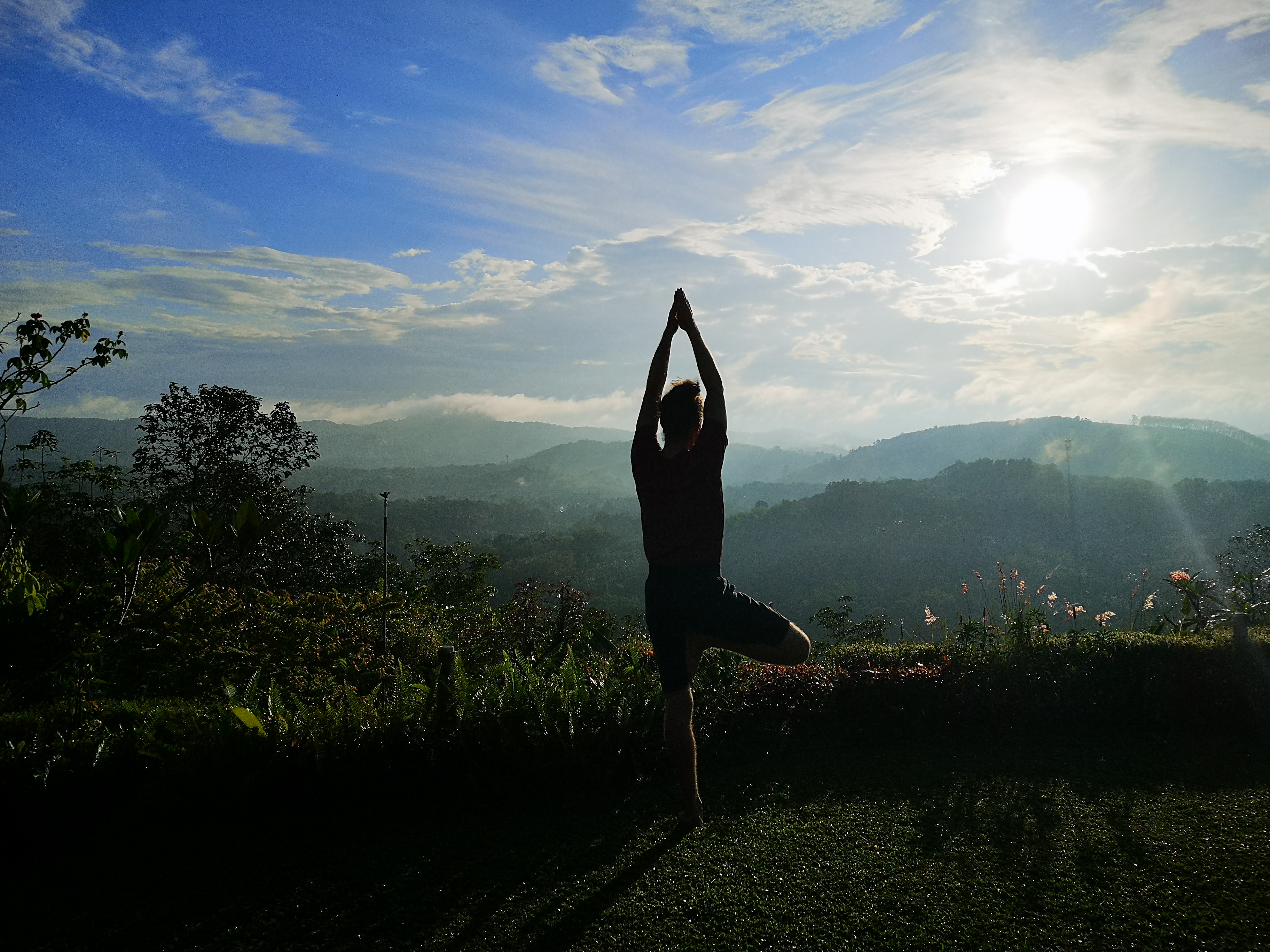 Yoga: Yoga im Gewächshaus