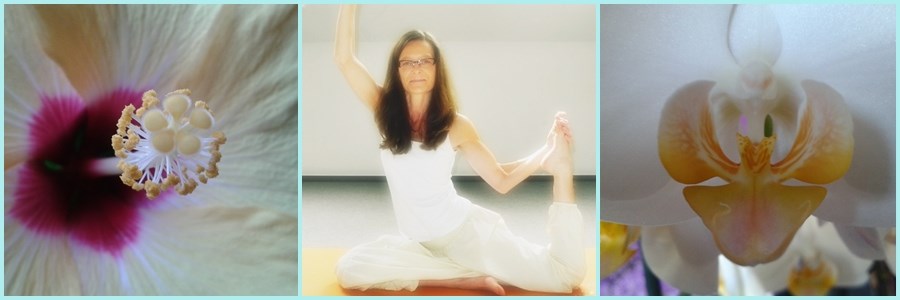 Yoga: Christine Kobusch - Natur-Vital-Zentrum OWL