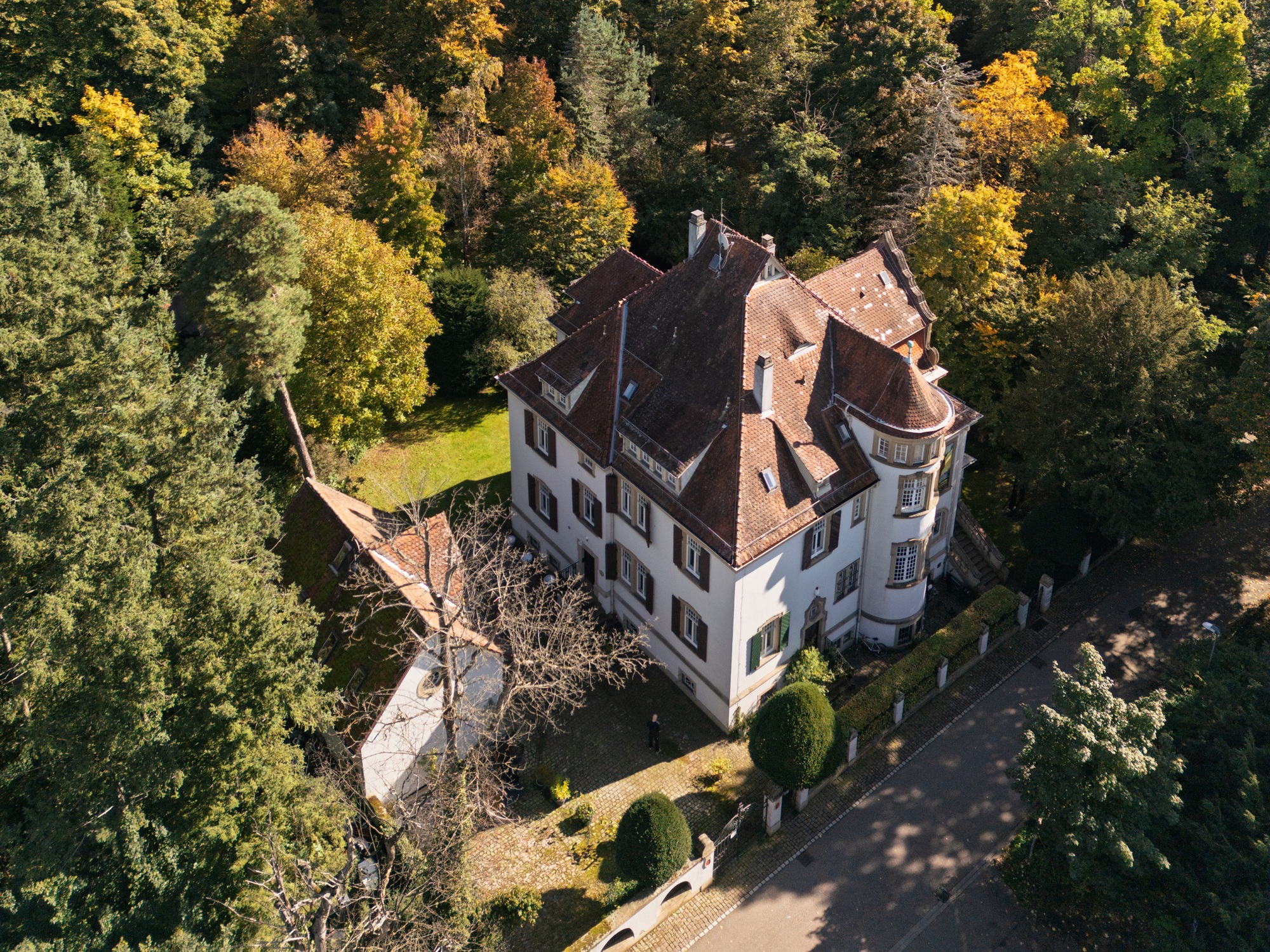 Yogalehrer Ausbildung: 200h Yoga-Ausbildung in Karlsruhe: Hatha & Vinyasa • Yoga Alliance (AYA)