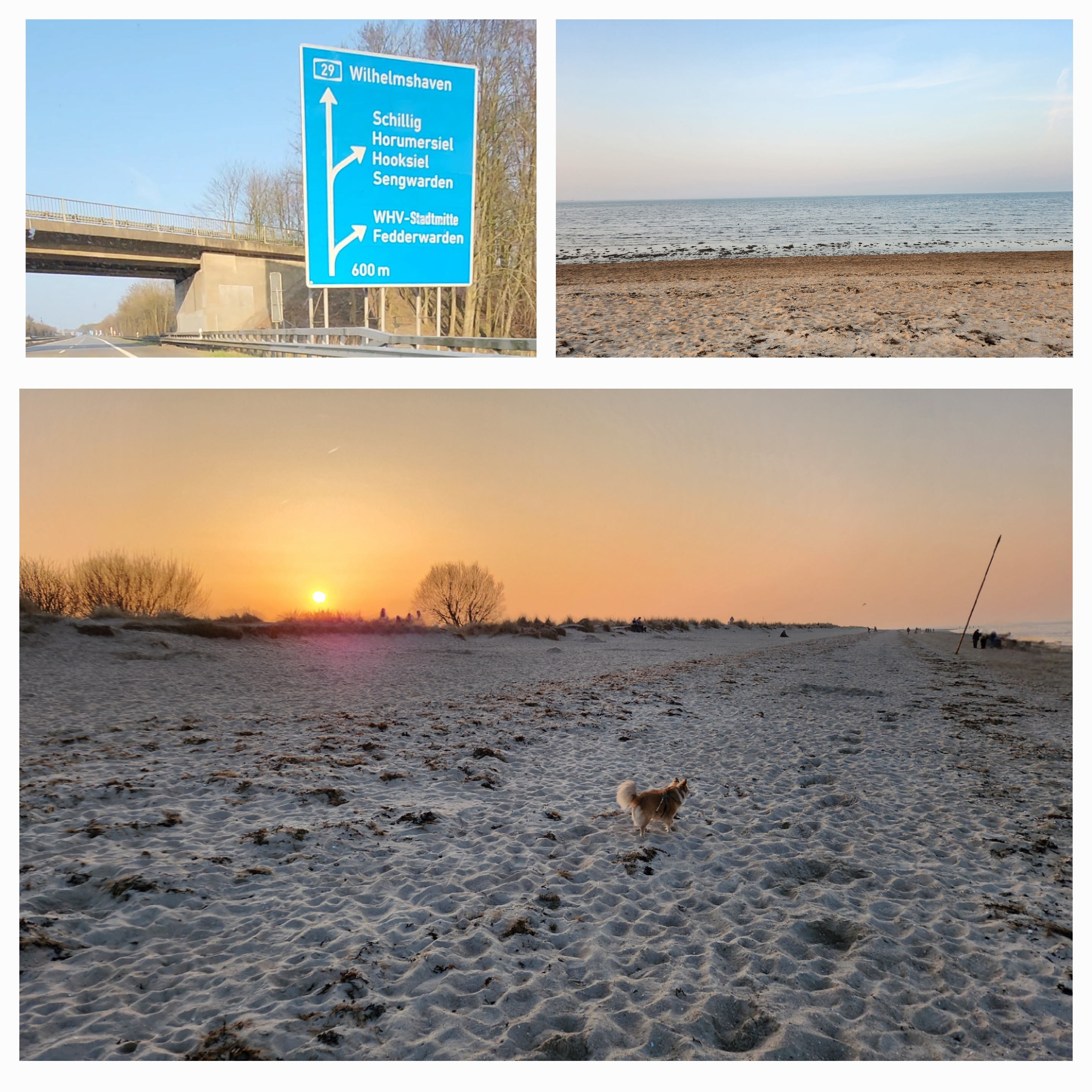 Yogalehrer Ausbildung: Strandspaziergang in den Yoga-Pausen - 4wöchige Intensiv Yoga-Ausbildung