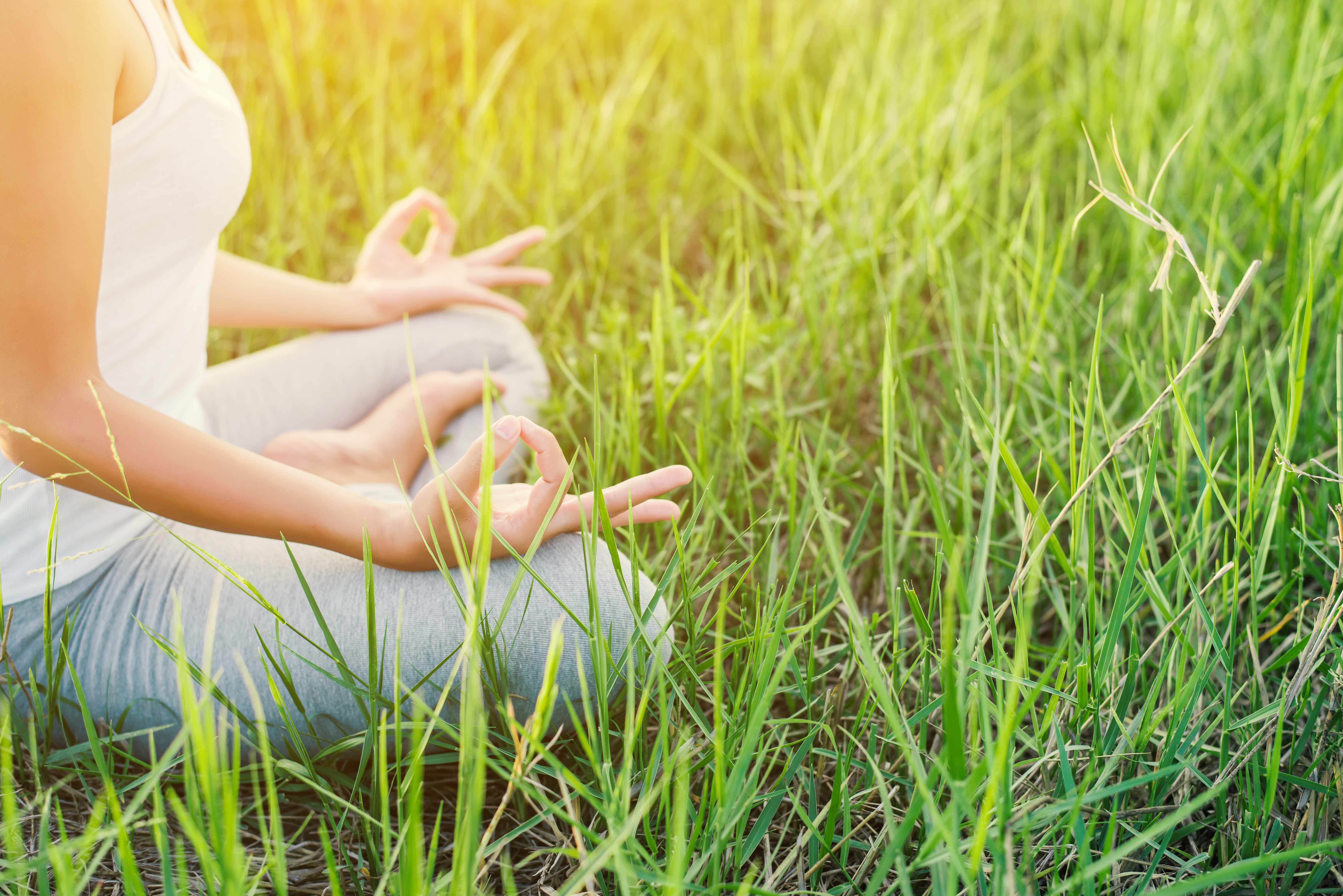 Yoga: Outdoor-Yoga Kornwestheim - Raus in die Natur August 2026