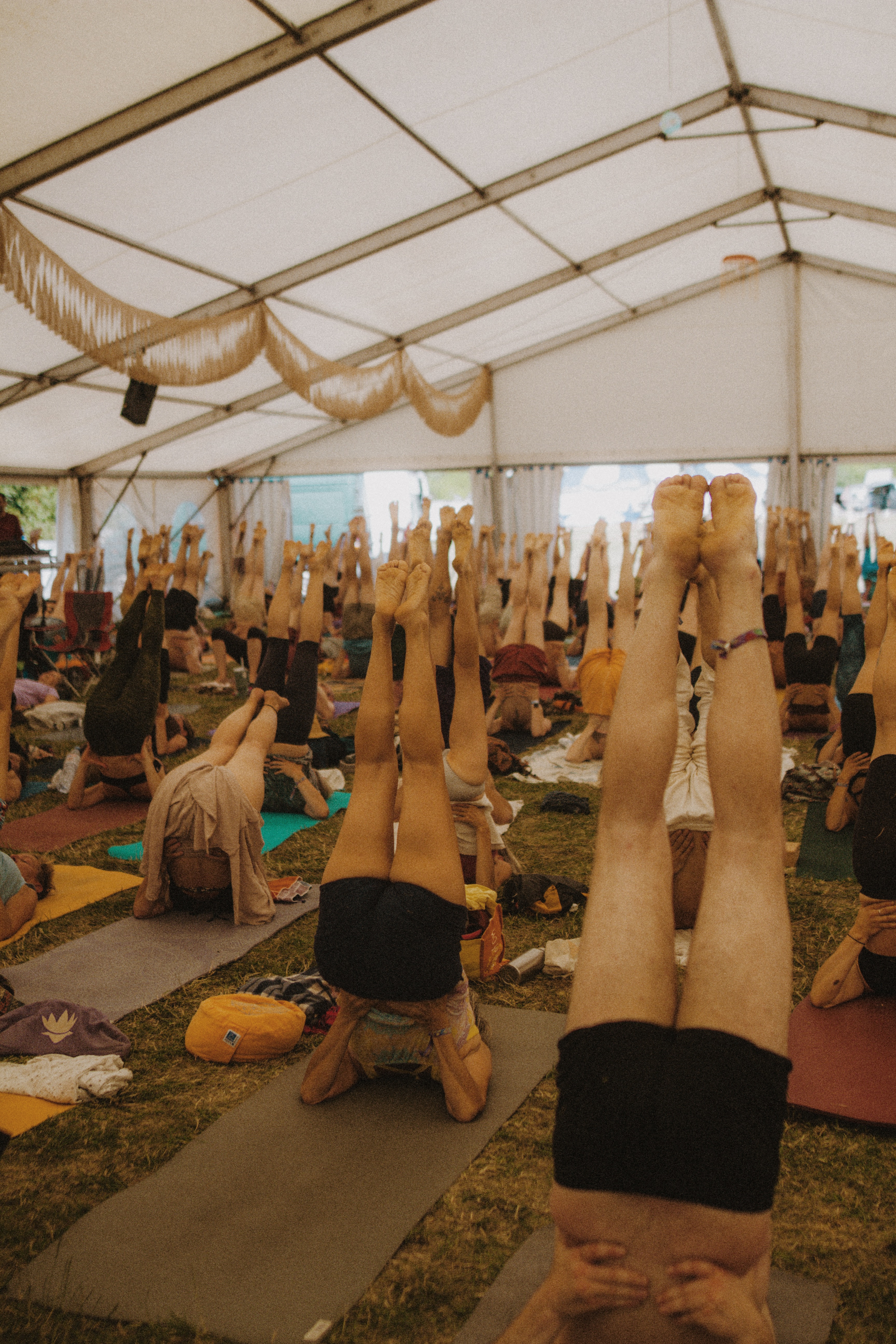 Yogaevent: Yoga im Zelt - Cat & Cow Yoga & Healing Festival