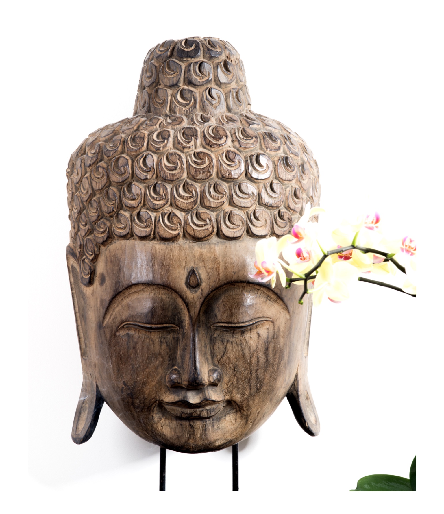 Yoga course - Yogastil: Meditation - Germany - Claudia Sanders