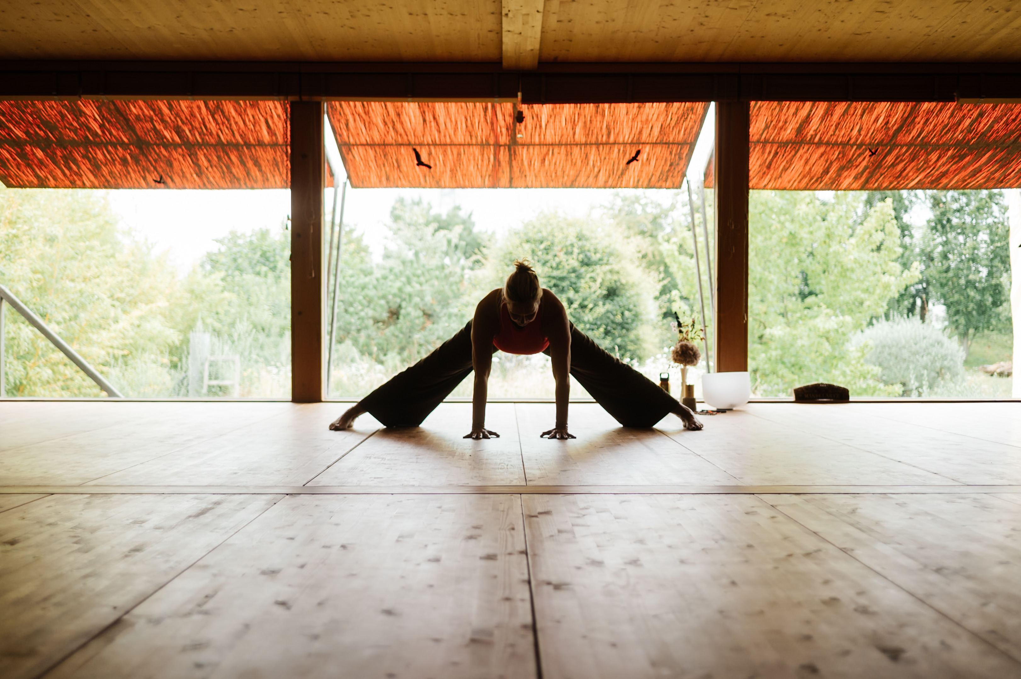 Yoga: Yoga im großen, wunderschönen RAUM für YOGA  mit herrlichem Ausblick - Michaela Mandelartz