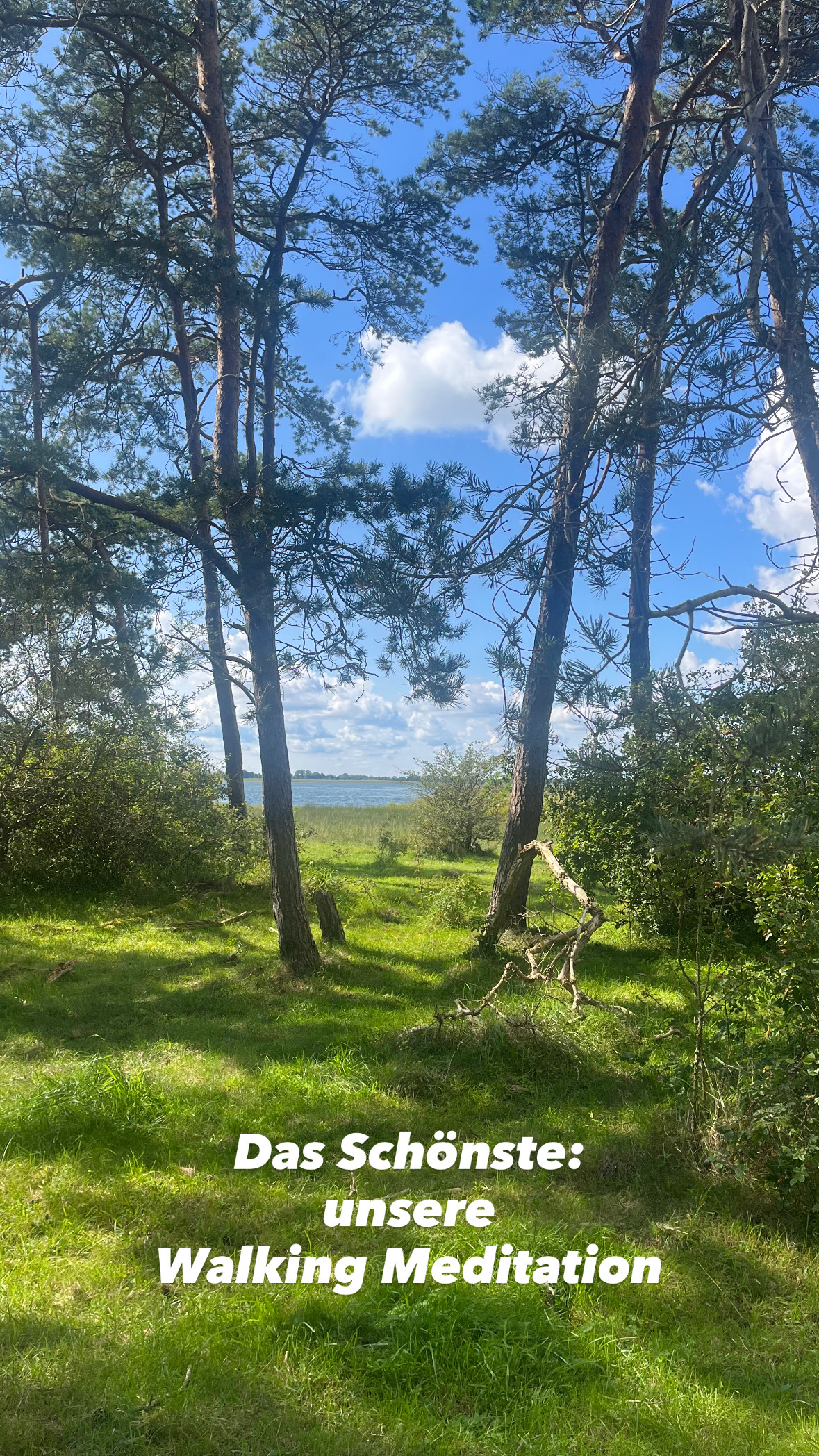 Yoga: Embodied Reset Yoga Retreat I Rügen