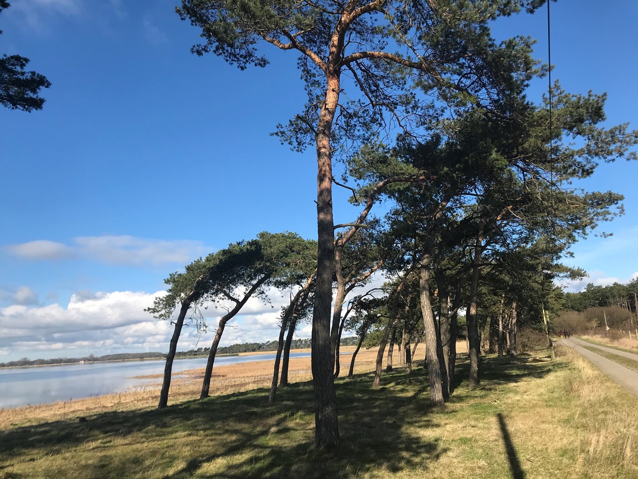 Embodied Reset Yoga Retreat  Eindrücke in Bildern der Räumlichkeiten 🌳 