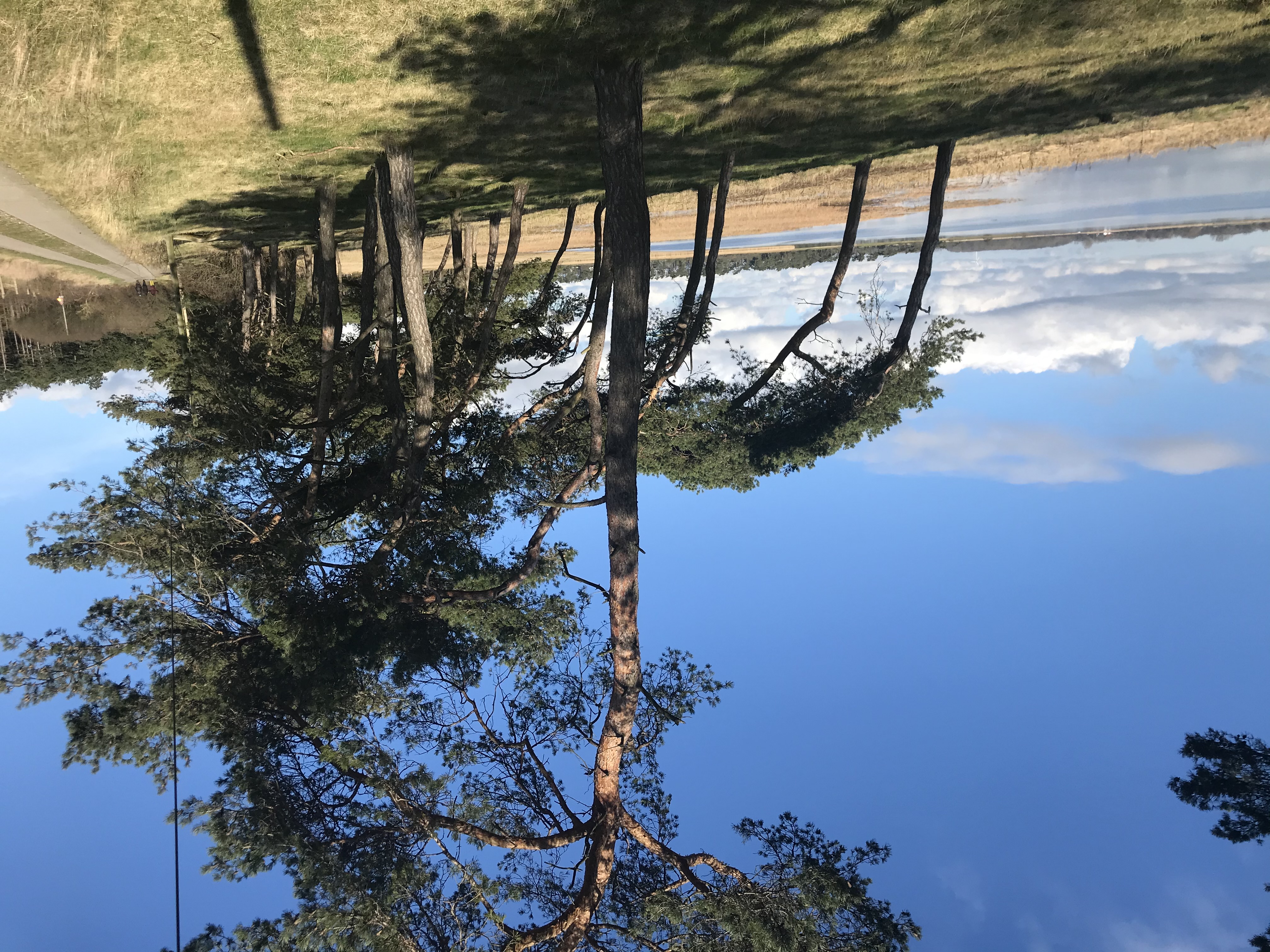 Embodied Sommer Yoga Retreat  Eindrücke in Bildern der Räumlichkeiten 🌳 umgebendes Naturschutzgebiet