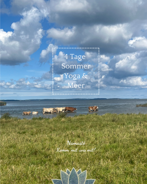 Yoga class - Yoga Elemente: Asanas - Küste, Meer, Kühe im Wasser, 4 Tage Sommer und Yoga am Meer - Embodied Sommer Yoga Retreat 