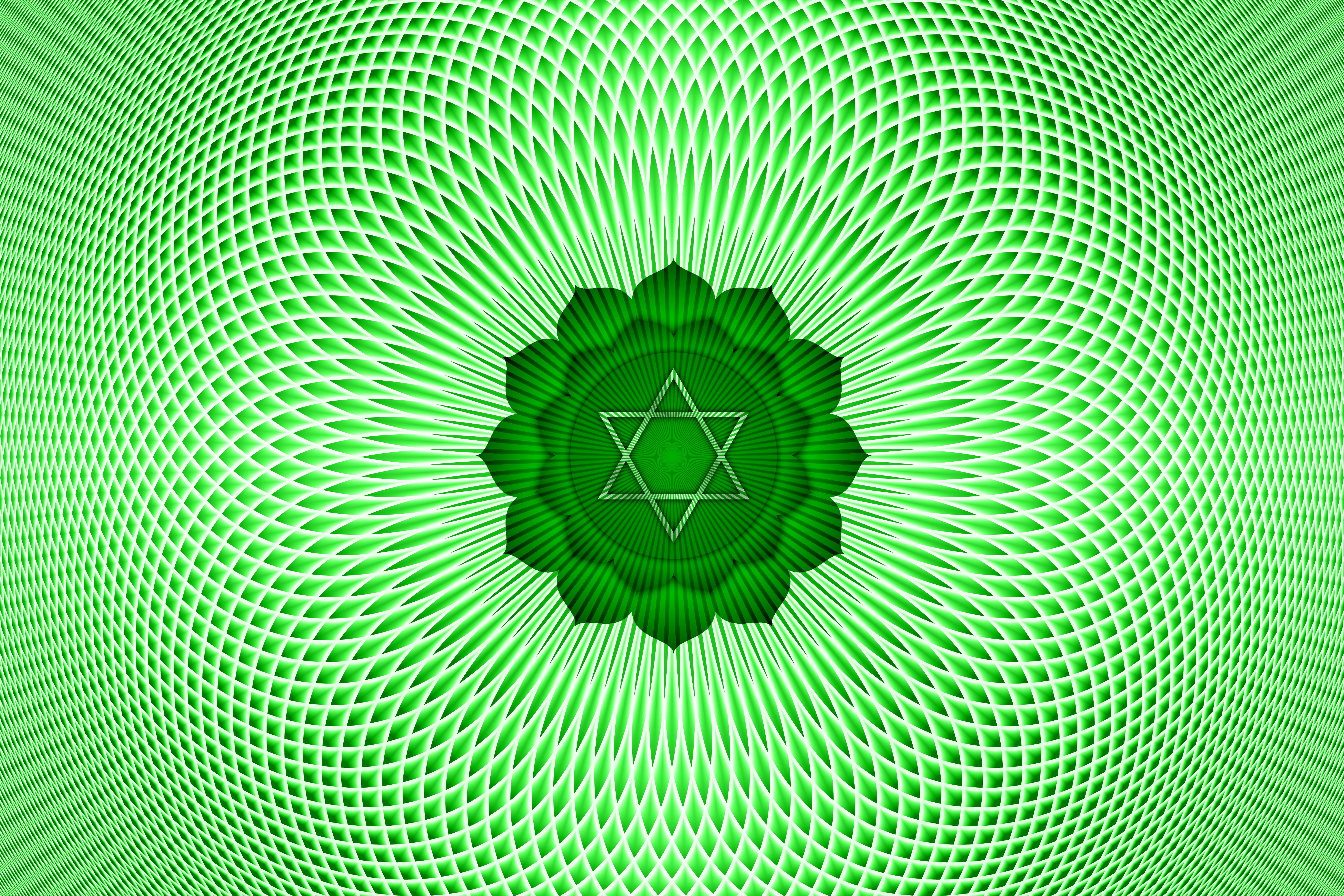 Yoga: Herz-Chakra Meditation - 90 Minuten nur für dich! Workshop 01.06.2026