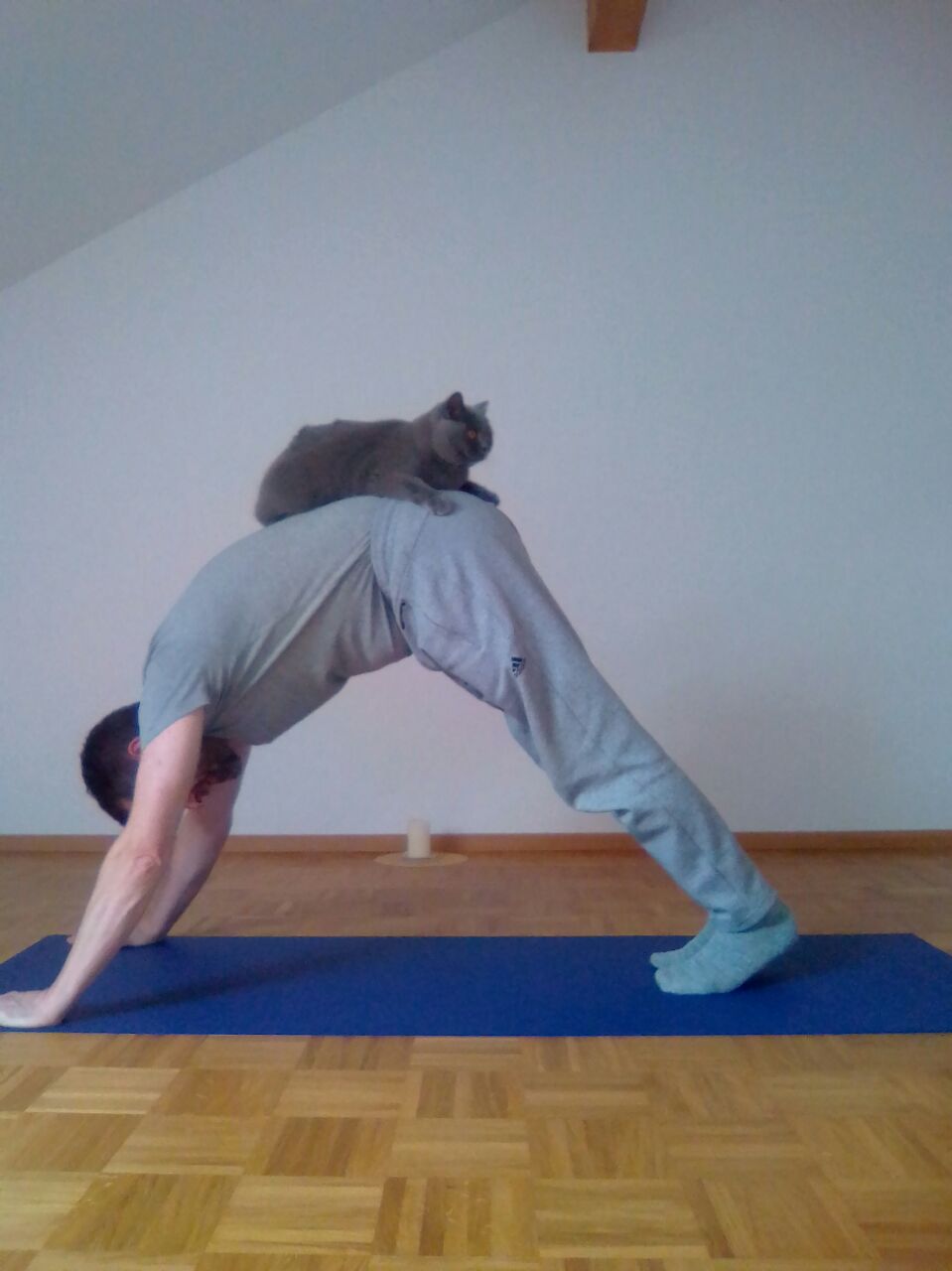 Yogakurs - Ettenheim - Yoga ... entspannt  ... - Joachim Räuber