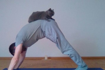 Yoga: Yoga ... entspannt  ... - Joachim Räuber