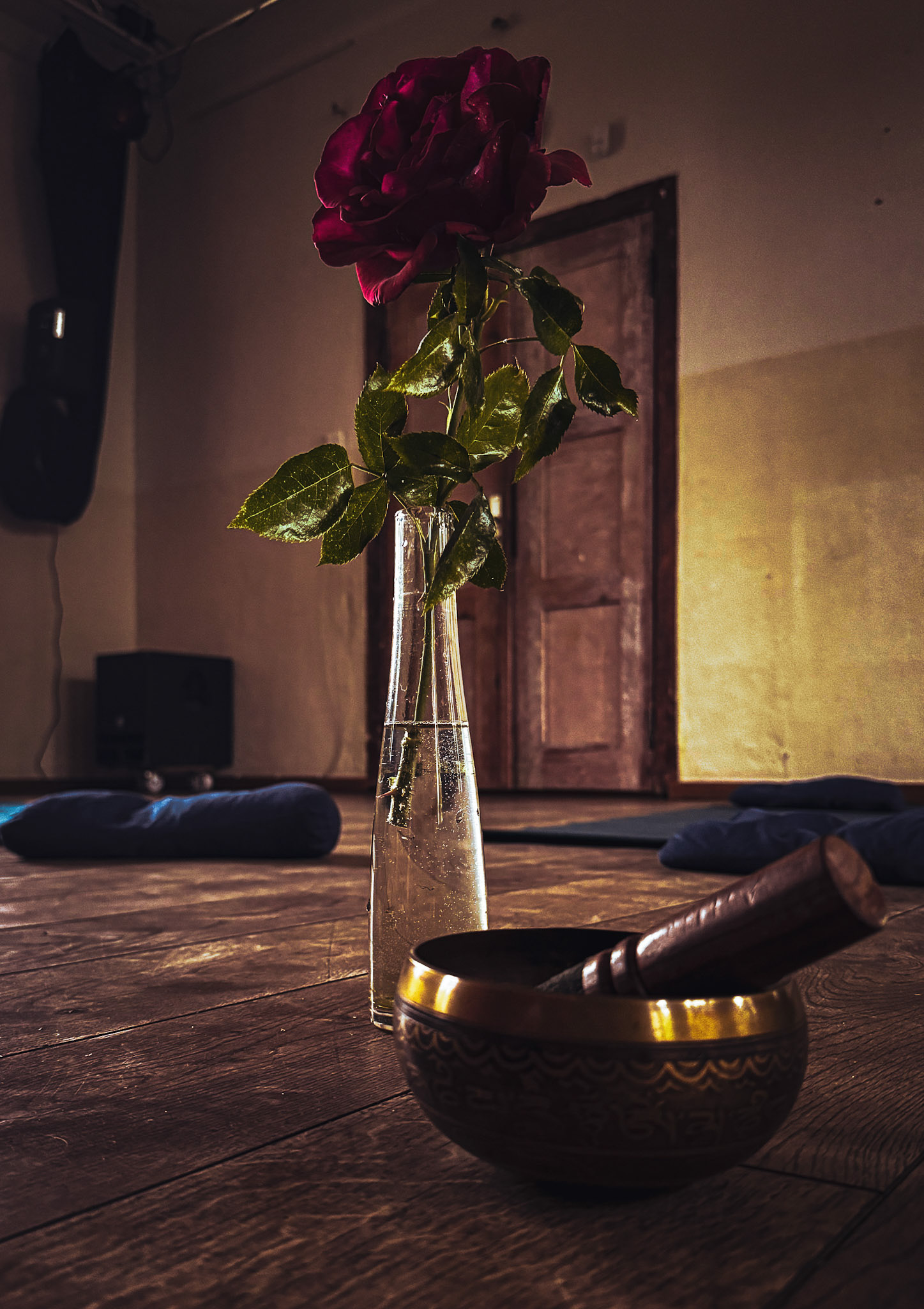Yogakurs - geeignet für: Fortgeschrittene - Yogaraum Kulturbahnhof Biesenthal - WellnessYoga -Yoga & Sehtraining