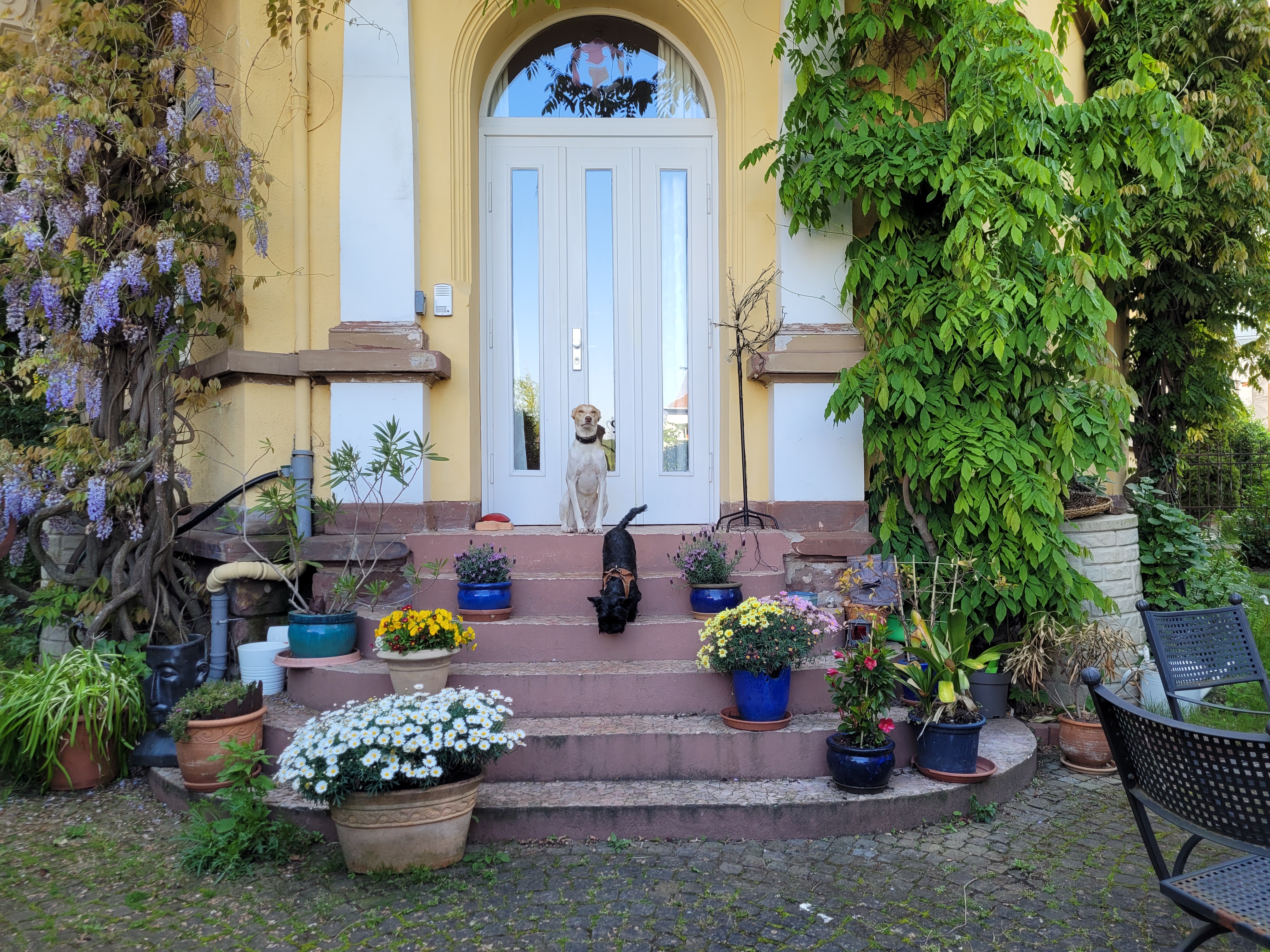 Yogakurs - Schenkelbergstraße 22, Jugendstilvilla
Eingang zum Yogaraum durch den Garten
 - Vini-Yoga, Andrea Hermann
