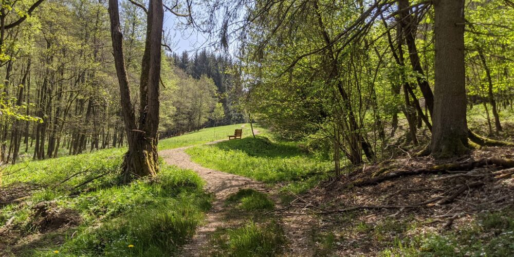 Yoga class - Hessen Nord - Wochenend-Retreat im Naturpark Kellerwald-Edersee