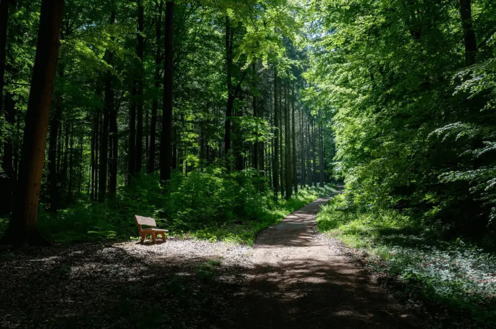 Yoga class - Hessen Nord - Wochenend-Retreat im Naturpark Kellerwald-Edersee