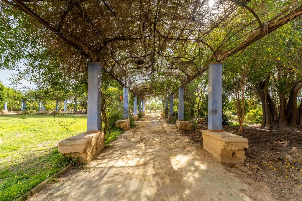 Yoga & Wandern Retreat / Spanien November 2027 Impressions in pictures of the rooms 