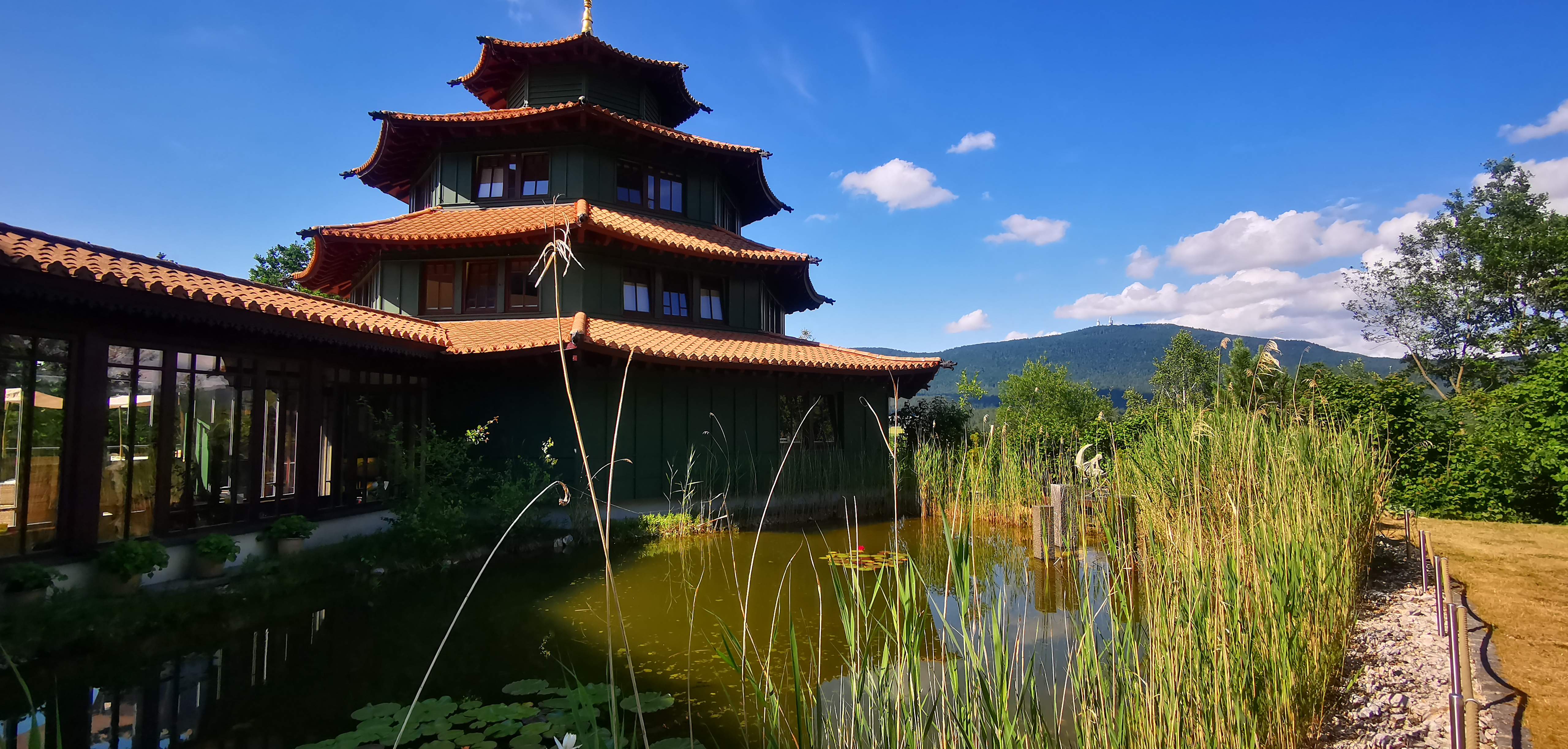 Yogaevent: Flow & Harmony Retreat