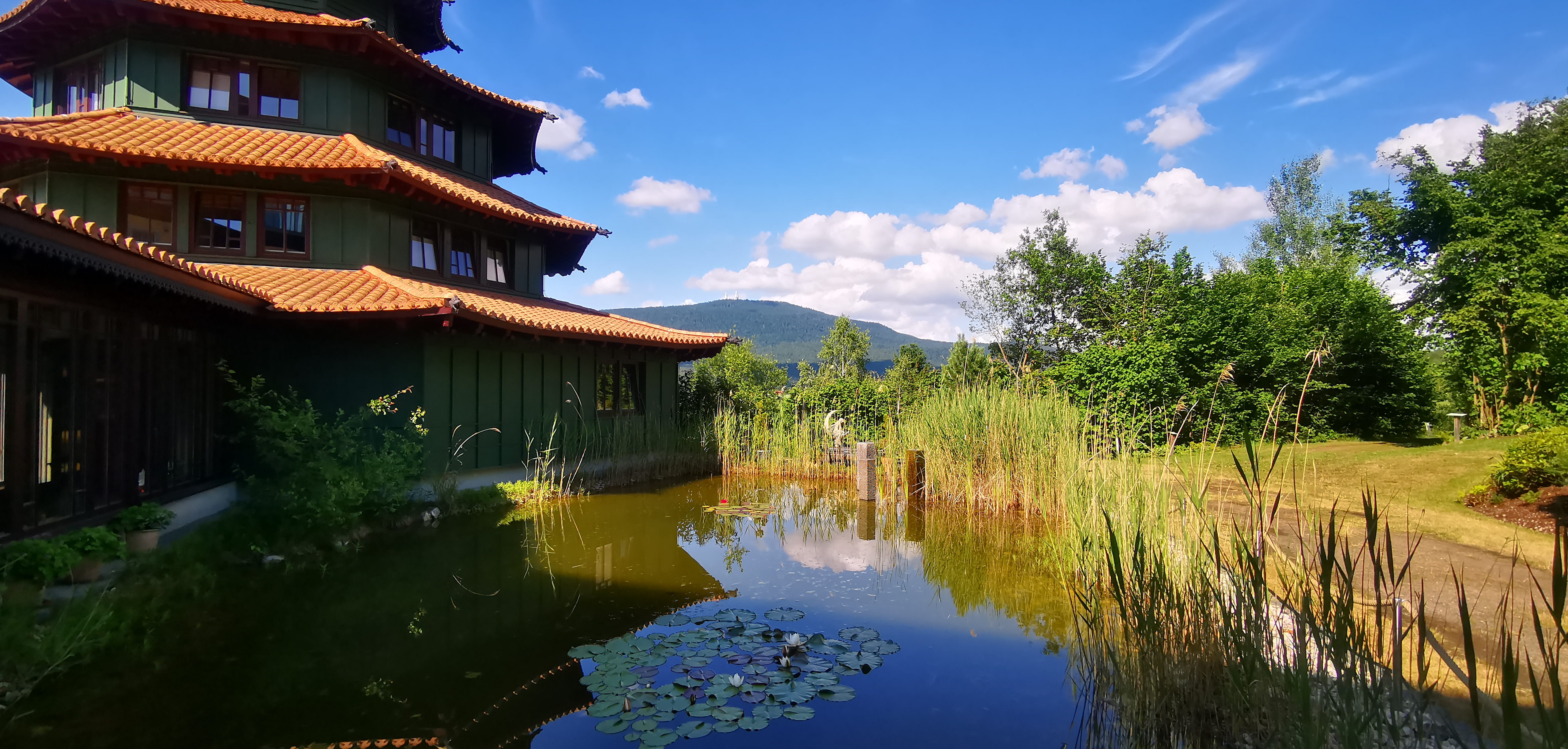 Yogaevent: Flow & Harmony Retreat