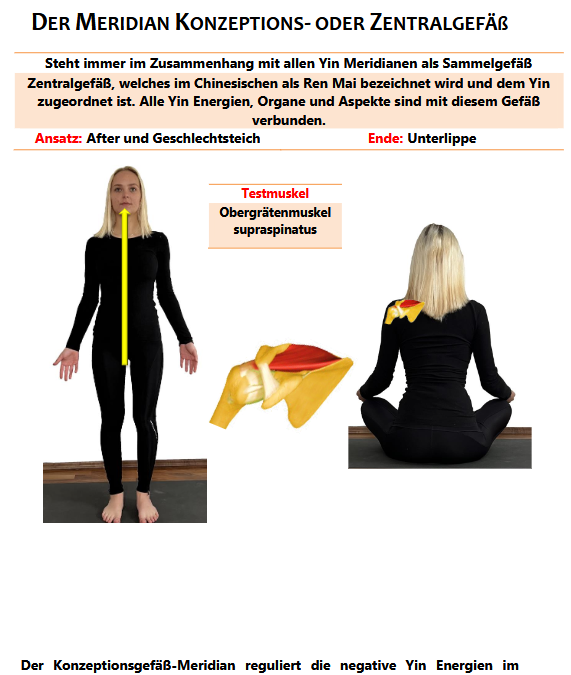 Yogalehrer Ausbildung: Lerne die feinstoffliche Anatomie der Meridiane und Chakren
Yogaschule Ayurvedayoga®
Szilvia & Gerald Franz Dienbauer - Yoga Energetik Lehrer Ausbildung