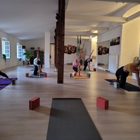Yoga: Yoga Flow 
Hatha Yoga - Sevil-Anne Zeller   namaste Yoga Loft