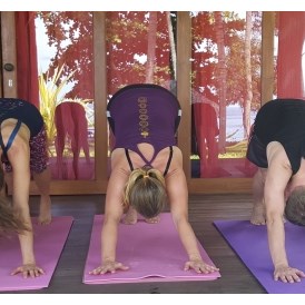 Yoga: Yoga, Bewegung, Spaß - Angela Mecking