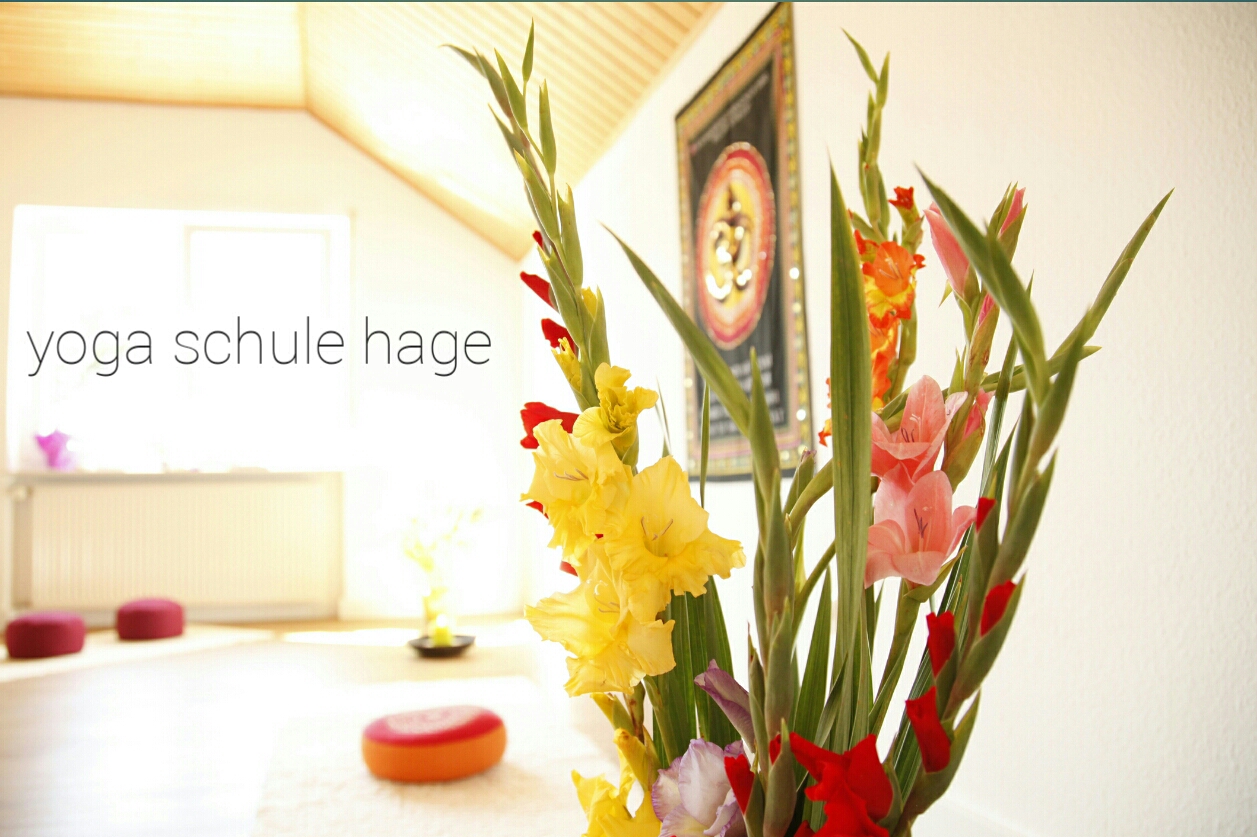 Yogakurs - Yogastil: Hatha Yoga - Darmstadt Darmstadt-Bessungen - der Yoga Raum - Oliver Hage