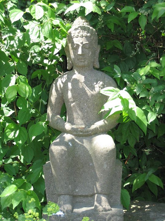 Yogakurs - Bad Laer - https://scontent.xx.fbcdn.net/hphotos-xap1/t31.0-8/s720x720/12778791_827323260702643_8247669735960662552_o.jpg - Yoga in Bad Laer