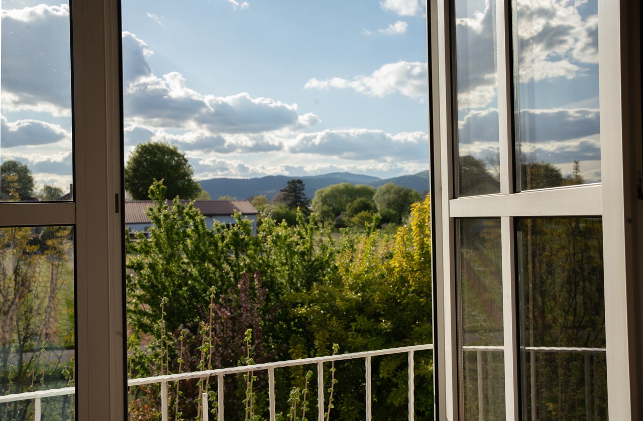 Yoga & Basenfasten in der Südpfalz - neue Balance und Leichtigkeit finden. Impressions in pictures of the accommodation View from the double rooms
