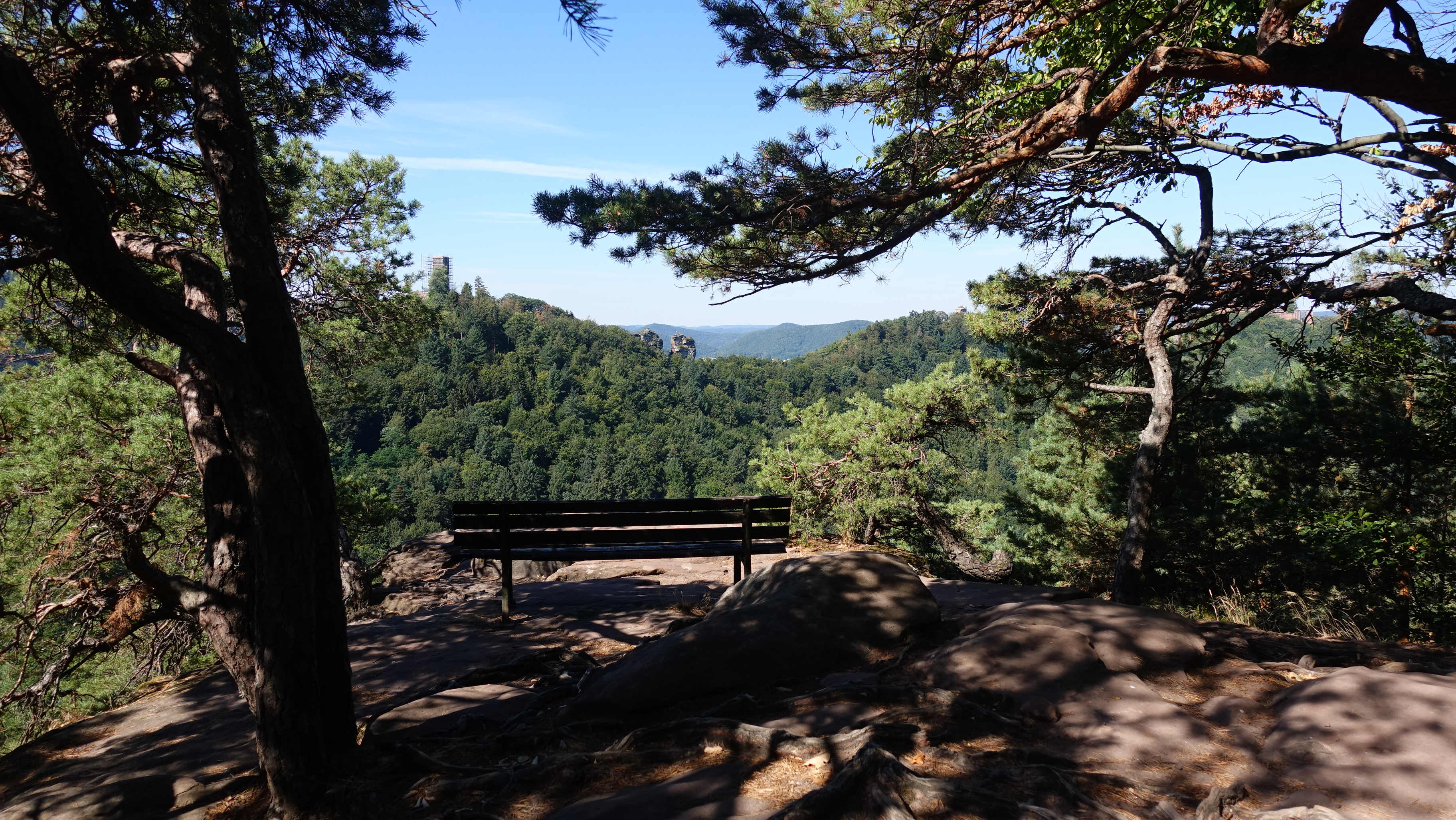 Yogaevent: Wanderungen im Pfälzerwald  - Yoga & Basenfasten in der Südpfalz - neue Balance und Leichtigkeit finden.