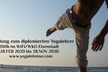 Yoga: Ausbildung zum diplomierten Yogalehrer - Karl-Heinz Steyer