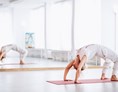 Yoga: Rad - Chakrasana - Yoga & Meditation München-Solln  |  Gabriele Metz