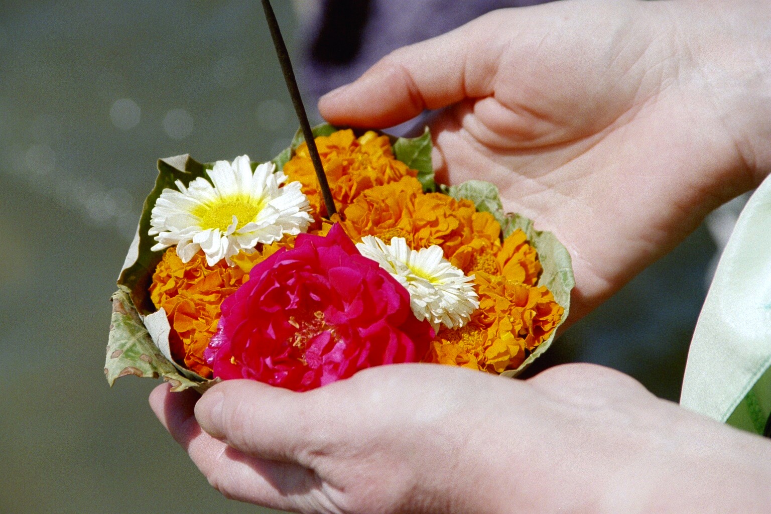 Yoga: Yogaschule Braunschweig