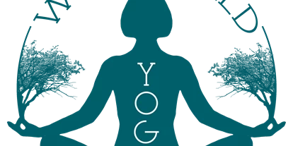 Yogakurs - vorhandenes Yogazubehör: Yogablöcke - Westerburg - Westerwald Yoga