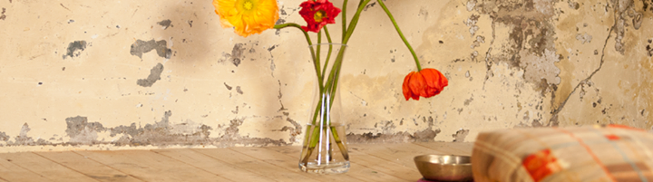 Clase de yoga - Siegburg - https://scontent.xx.fbcdn.net/hphotos-xtf1/t31.0-8/s720x720/12657388_1551005175215445_4936080673710121243_o.png - hediger-yoga.de