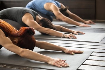Yoga: Leben in Balance 
das mobile Yoga-Studio für
KÖRPER, GEIST & SEELE mit YogaRosa Di Gaudio  - Rosa Di Gaudio | YogaRosa