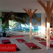 Yogakurs - Yoga Evolution Evelin Ball