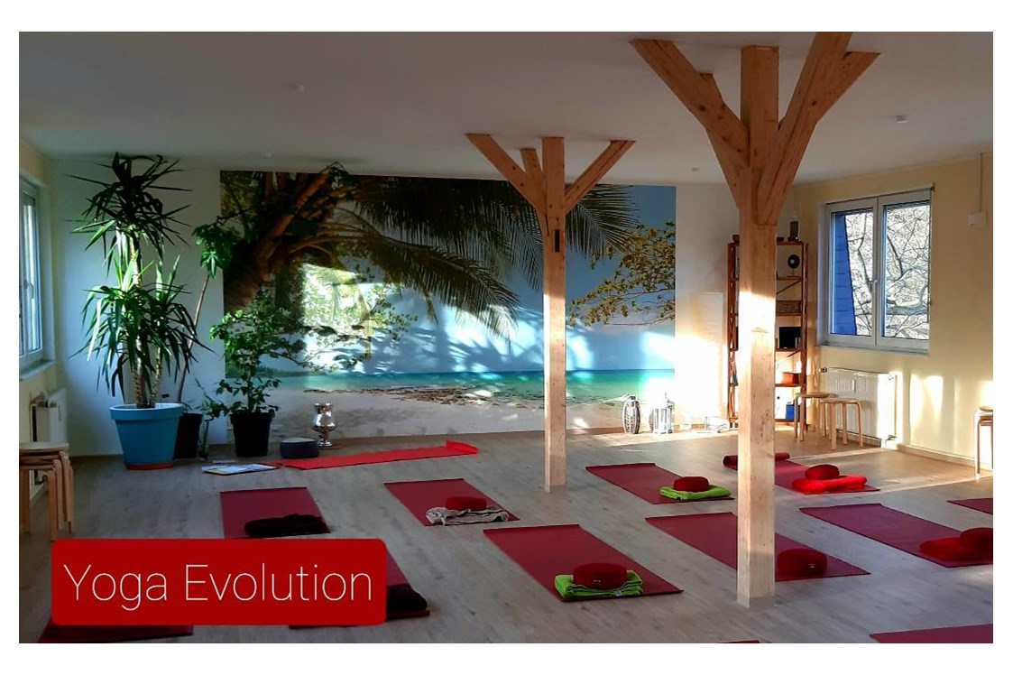 Yoga: Yoga Evolution Evelin Ball