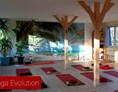 Yoga: Yoga Evolution Evelin Ball