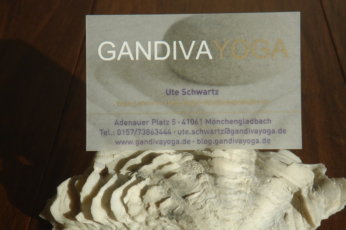 Yoga: Bei Fragen nicht zögern, MELDEN! - GANDIVA YOGA