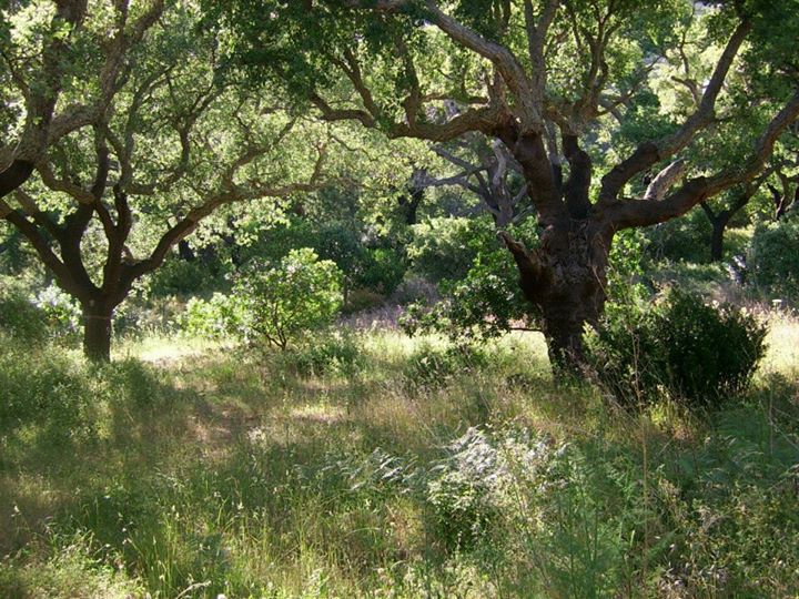Yogakurs - Köln Lindenthal - https://scontent.xx.fbcdn.net/hphotos-xfp1/v/t1.0-0/p180x540/11870699_1121657861197238_8431124510164503912_n.jpg?oh=d1d4cc616ac253ca904f03eee2e8b9ef&oe=57572398 - Iyengar Yogaraum