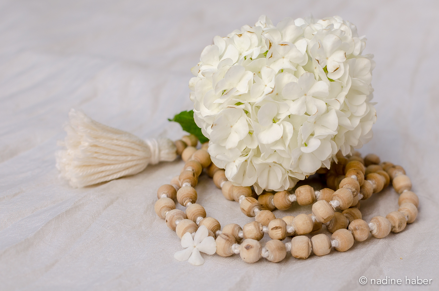 Clase de yoga - Werder (Havel) - ZurGelassenheit