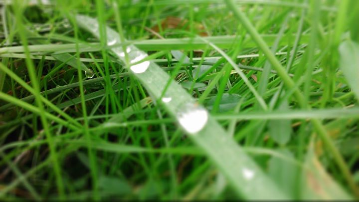 Yoga: https://scontent.xx.fbcdn.net/hphotos-xft1/t31.0-8/s720x720/12828568_914563185329376_6459620039557527635_o.jpg - SinnzeitYoga